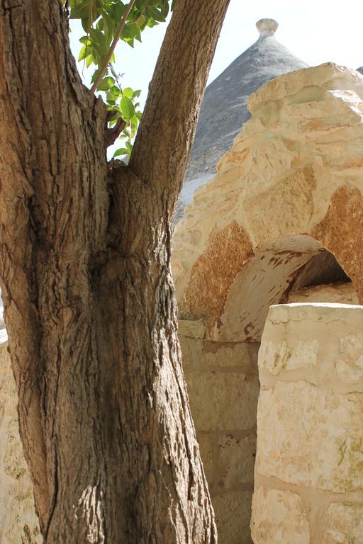 Masseria Gianecchia Cisternino Kültér fotó