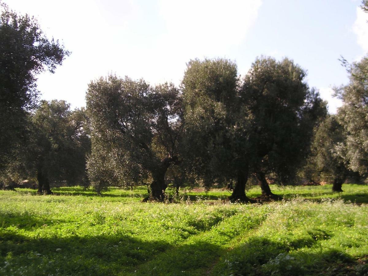Masseria Gianecchia Cisternino Kültér fotó